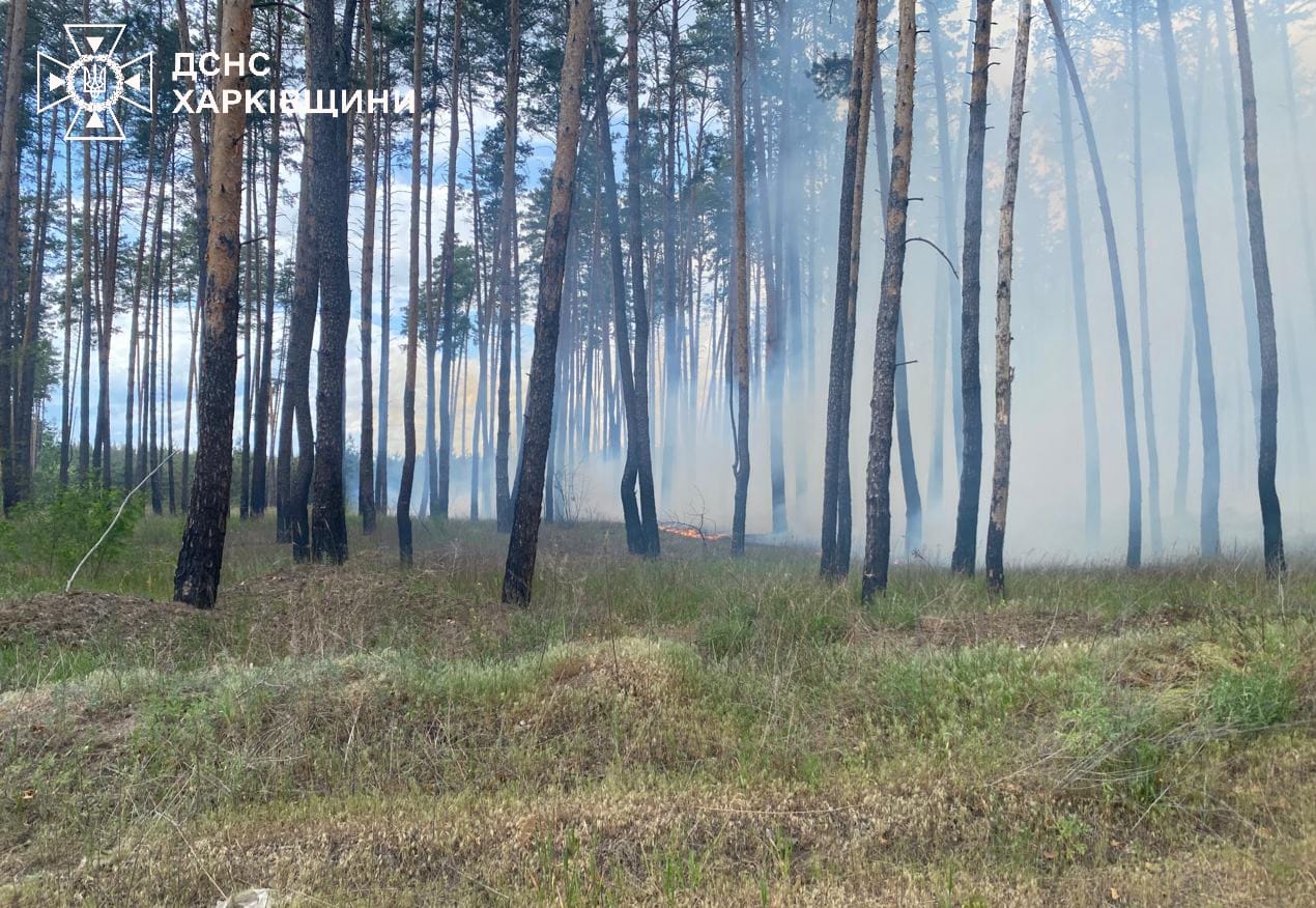 Лісова пожежа почалася в Харківській області через росіян, її гасили під обстрілами