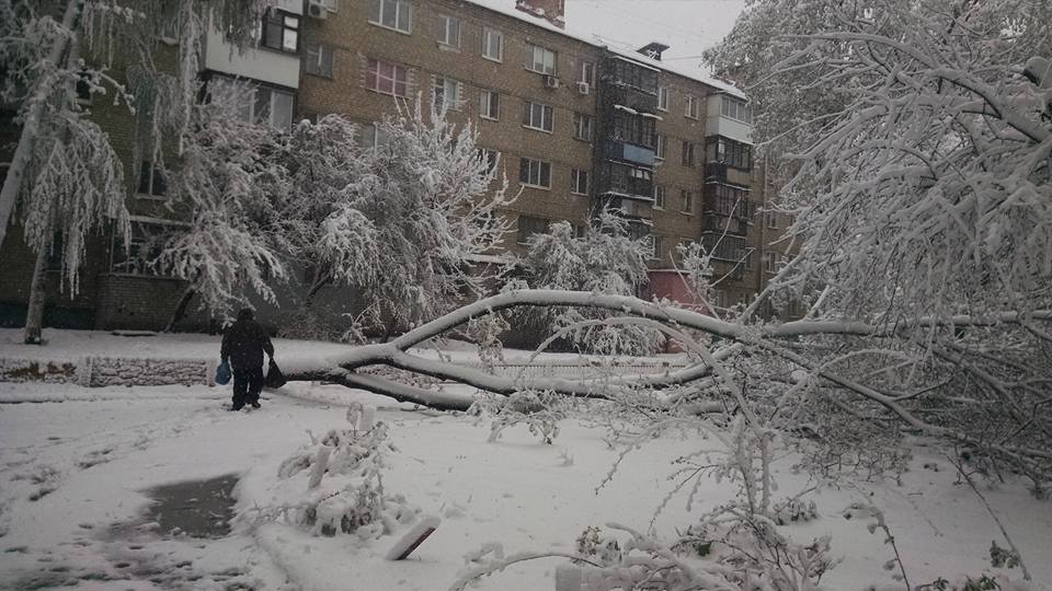 Непогода в Харькове: падают деревья (фото)