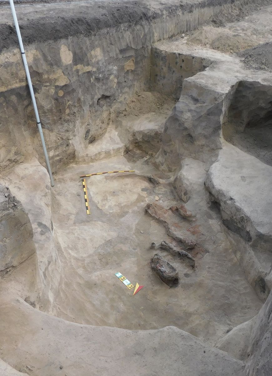 археологи, скифский курган, раскопки полтава