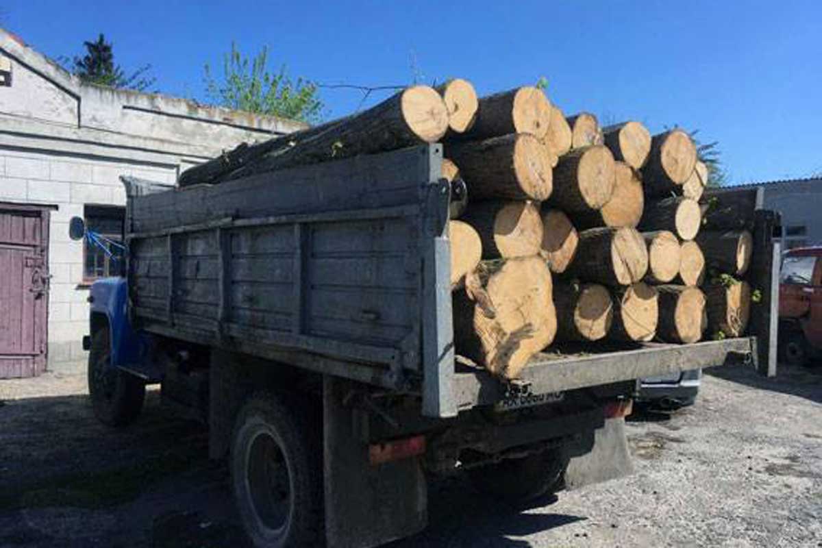 В Богодухове накрыли нелегального дровосека (фото)