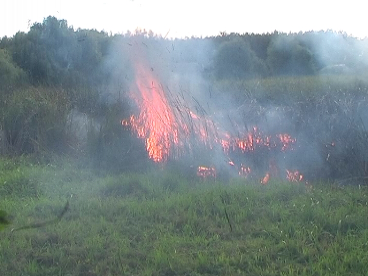 Под Харьковом горит трава (фото)