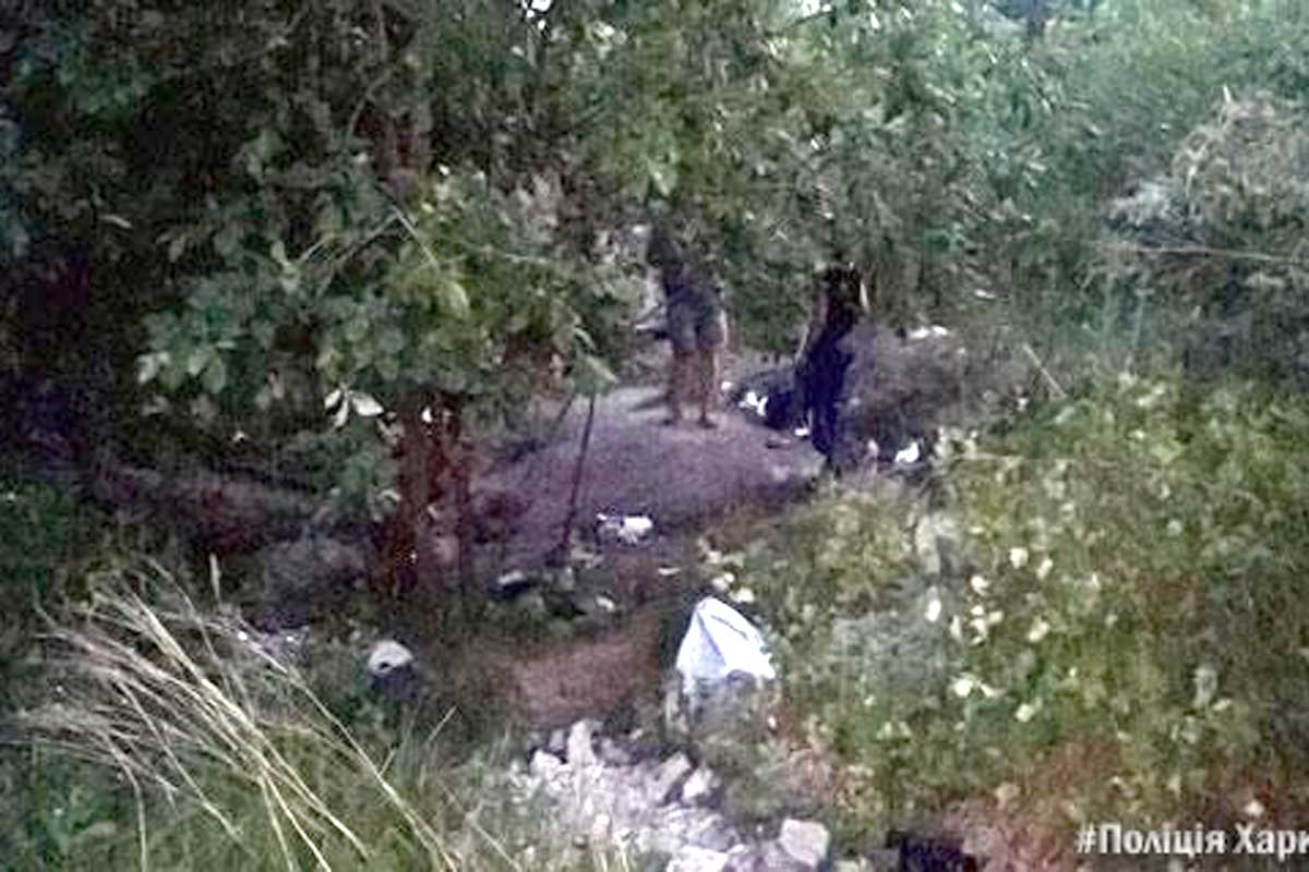 Две девочки и мальчик заблудились в лесу под Харьковом (фото)