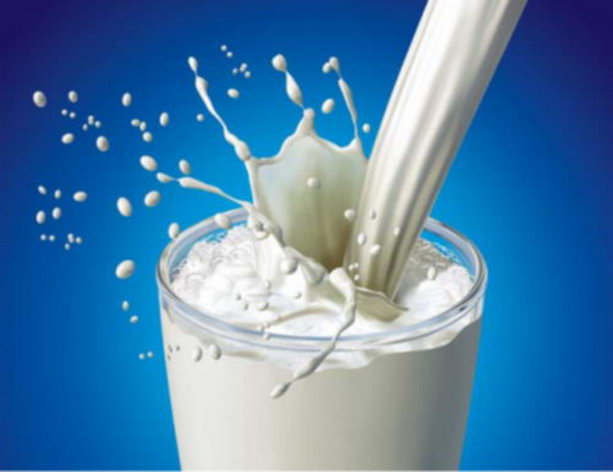 Харьковская область - в лидерах по производству молока