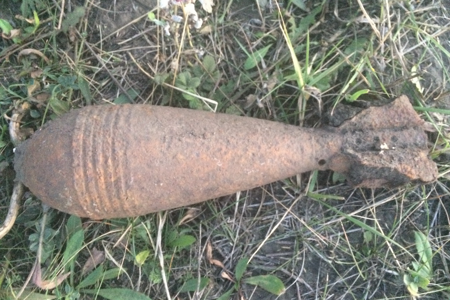Под Харьковом в поле нашли минометную мину (фото)