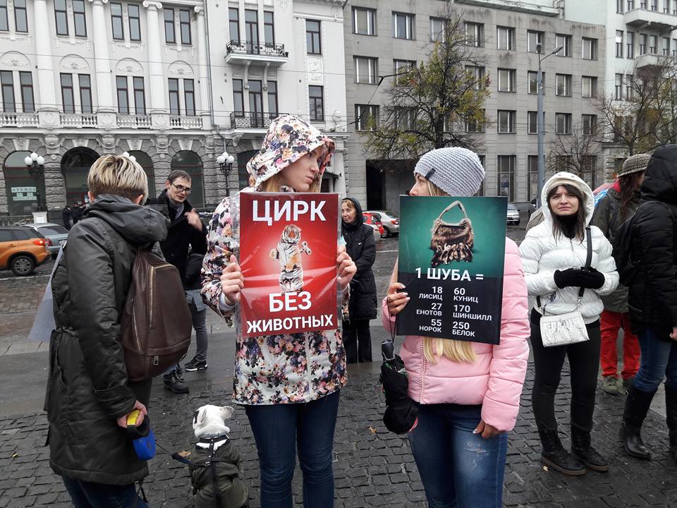 В Харькове прошел марш в защиту животных (фото)