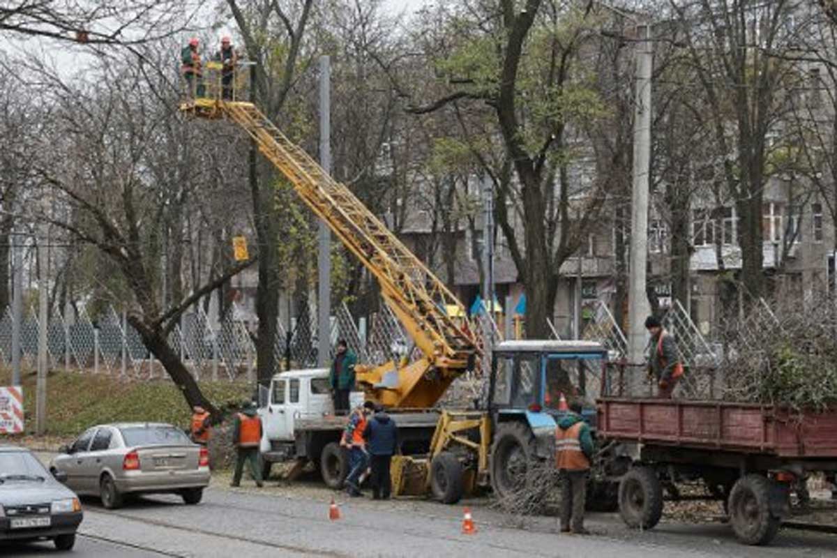 В центре Харькова снесли аварийное дерево