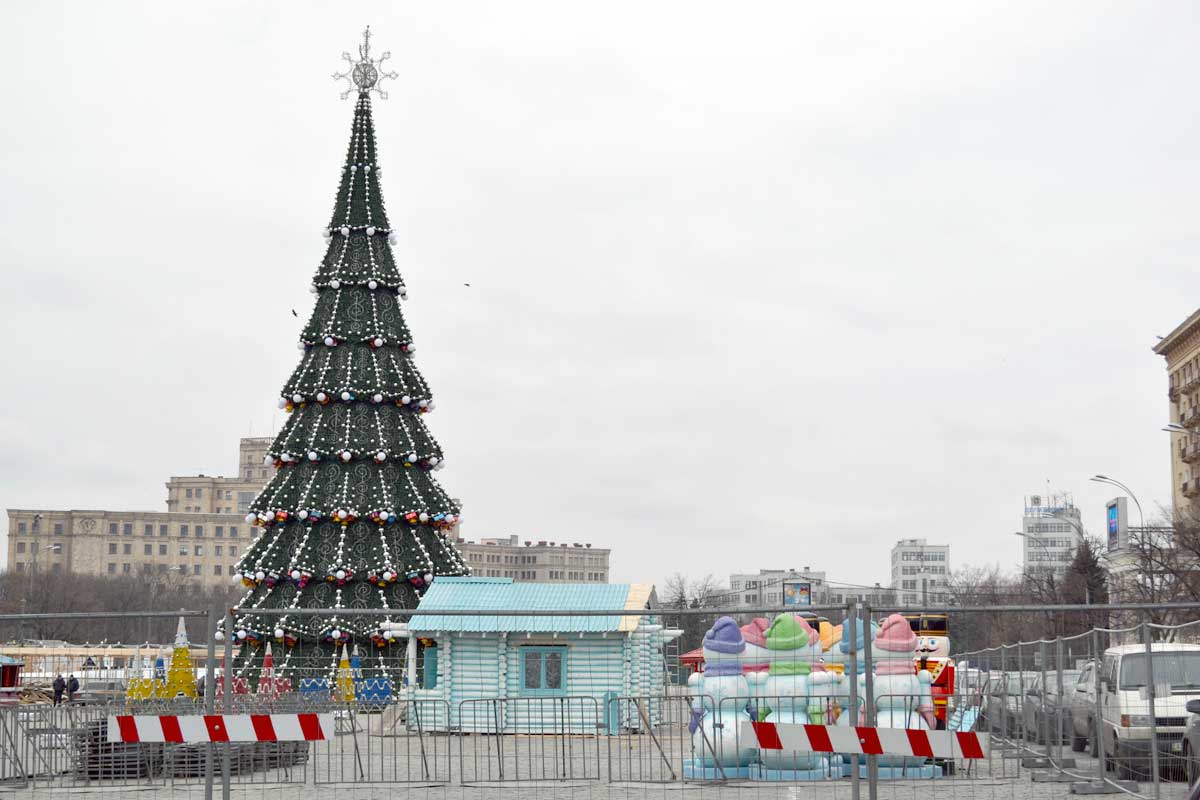 На площади Свободы установили елку (фото)