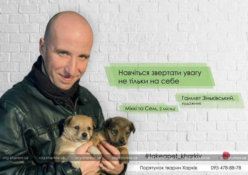 Харьковчан просят помочь бездомным животным