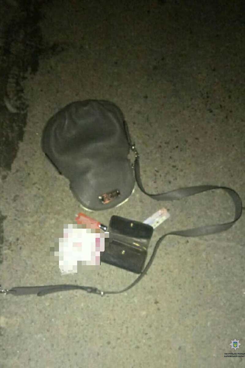 Харьковчанку ограбили прямо на улице (фото)