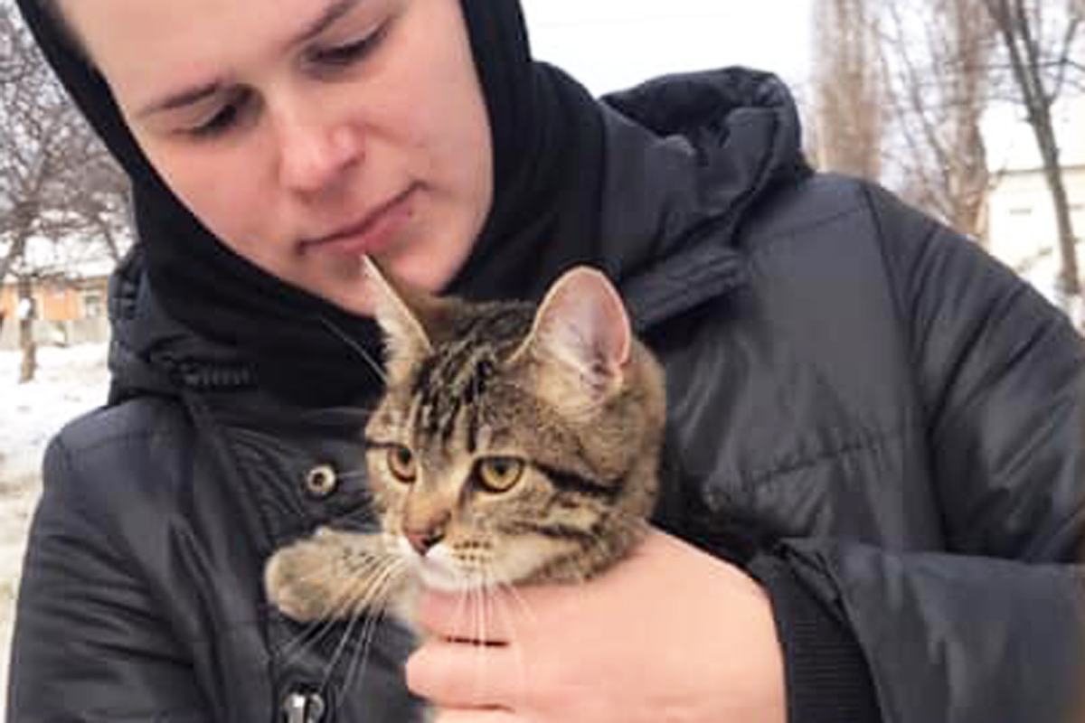 В Харькове спасли кота, сутки просидевшего на дереве (фото)