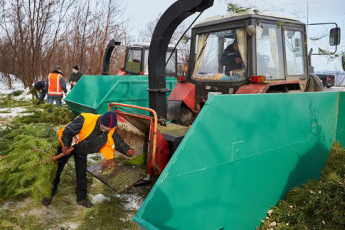 Харьковчане выбросили восемь тысяч елок