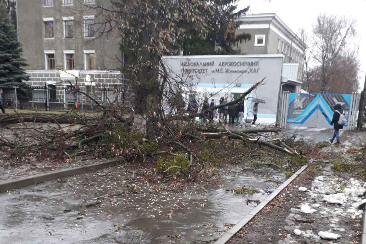 В Харькове ураганный ветер повалил дерево и сорвал палатку (фото, видео)