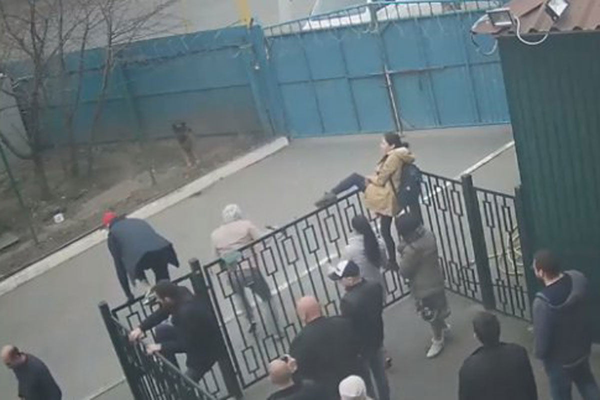 В Харькове расследуют нападение на центр обращения с животными (фото)