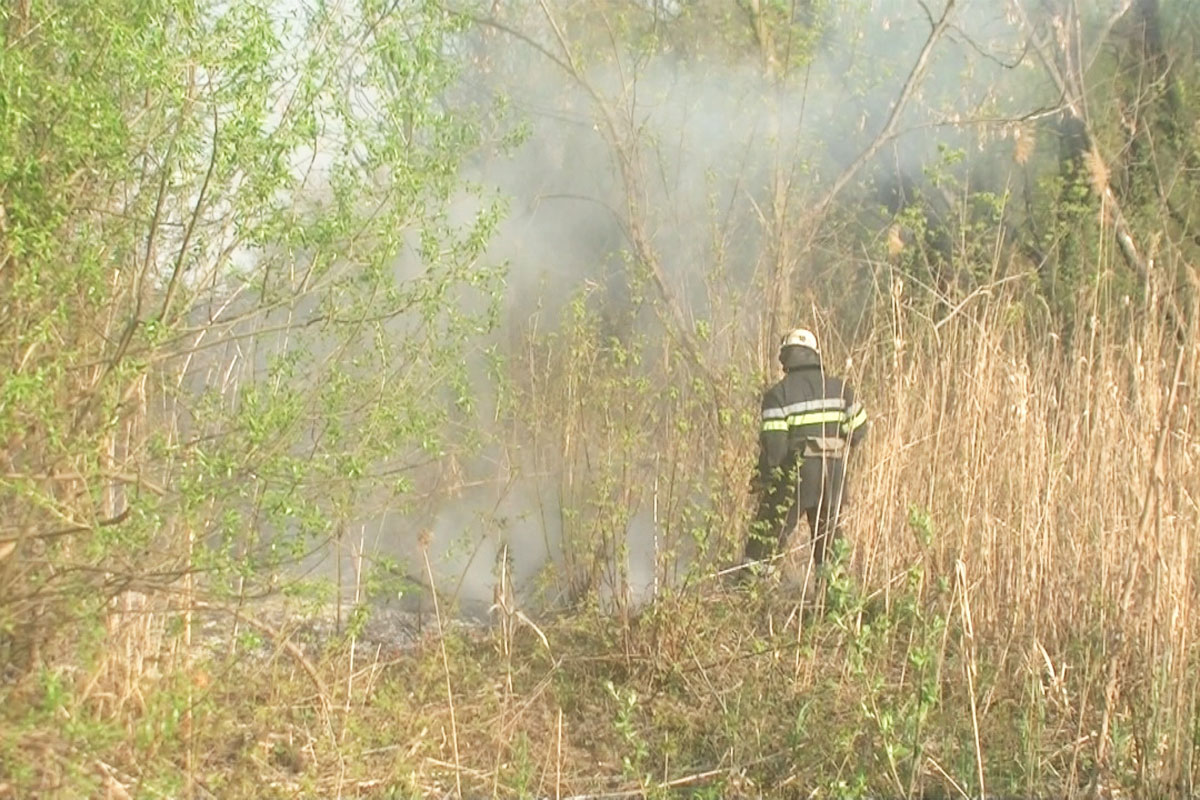 В Харькове пылает камыш, сгорели полуприцеп и забор (фото, видео)