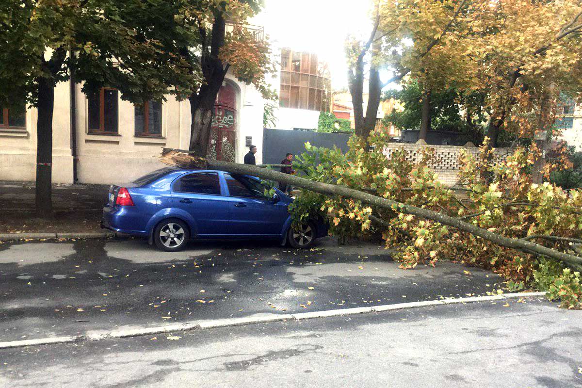 В Харькове ураганный ветер повалил дерево на машину (фото)
