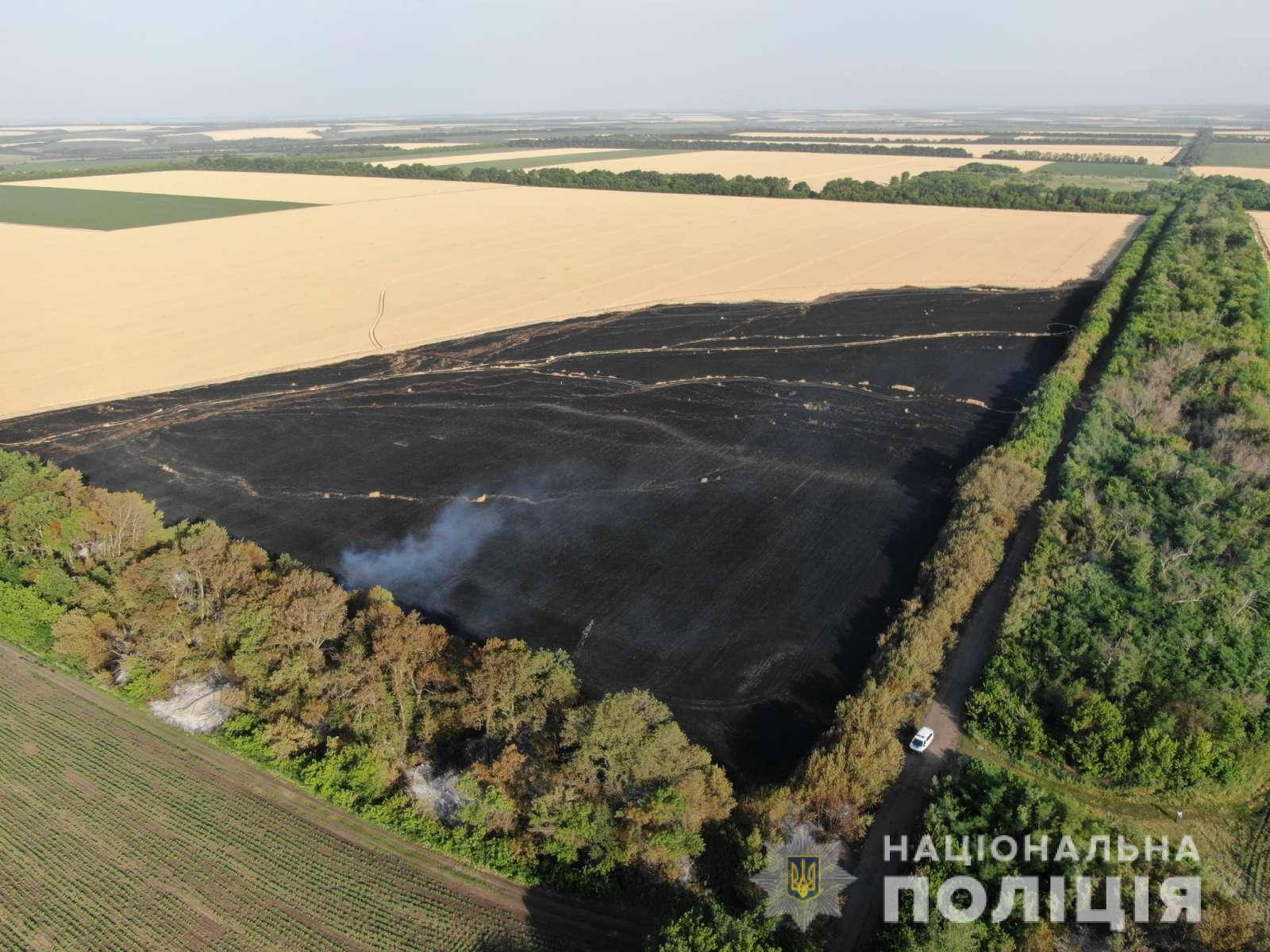 Под Харьковом сгорело еще одно поле пшеницы