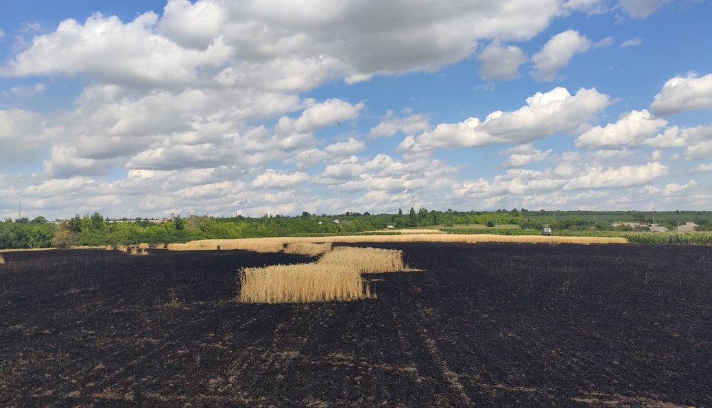 В Купянском районе горело поле пшеницы