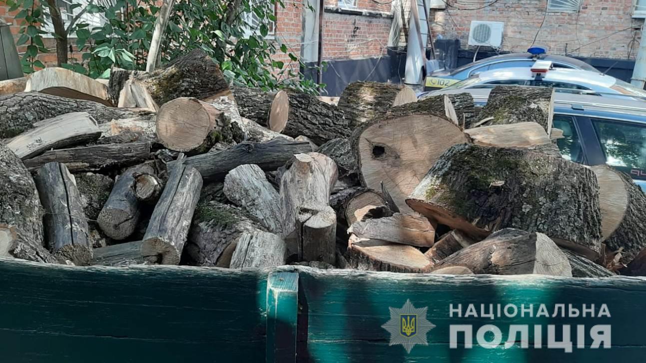 В Красноградском районе вырубили деревья