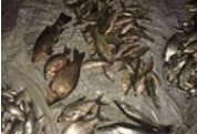 На Печенежском водохранилище поймали браконьера