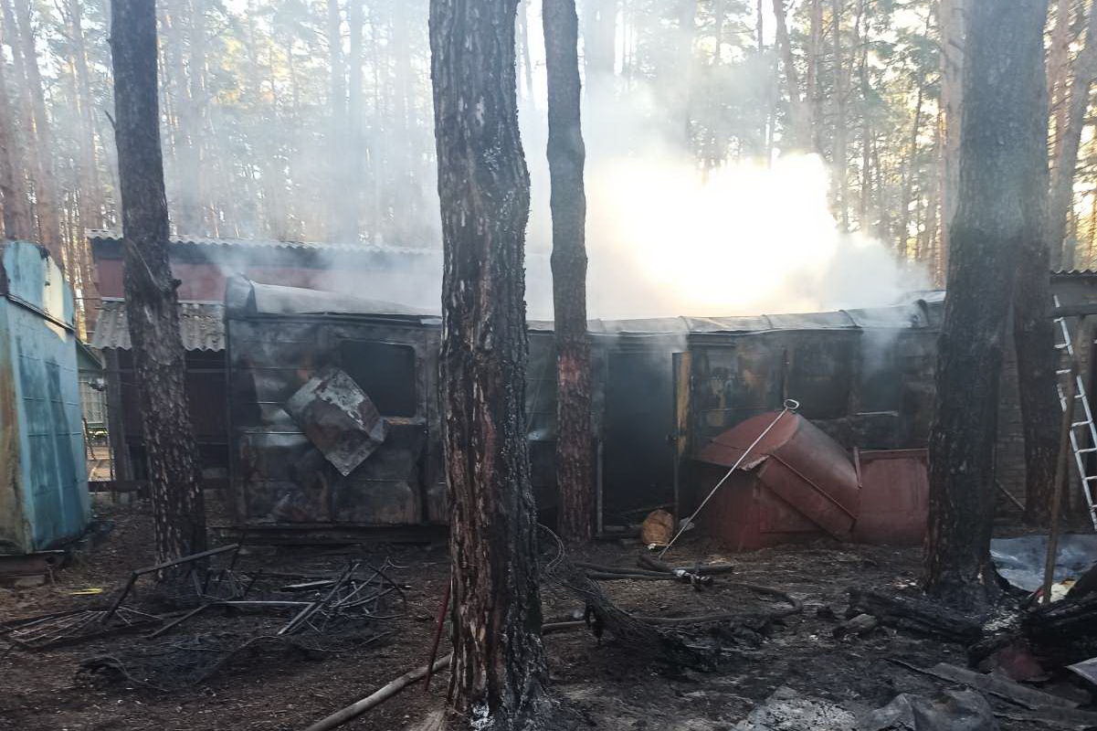 В Боровском районе сгорели железнодорожные вагоны (фото)