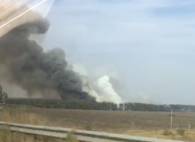 В Харьковской области - очередной лесной пожар