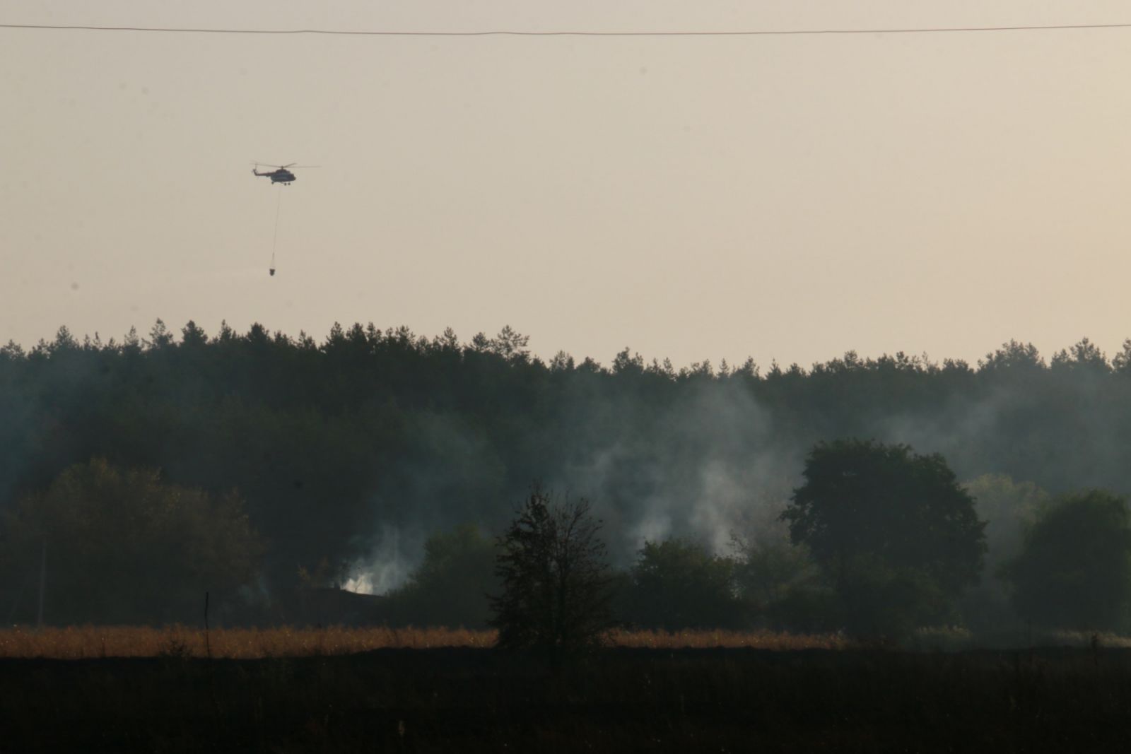 Лесные пожары: чугуевский уже потушили