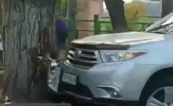 На ХТЗ машина влетела в дерево (видео)