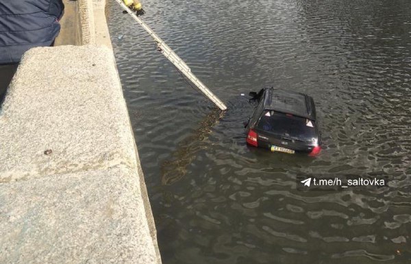 Машина могла оказаться в реке из-за кошки - полиция
