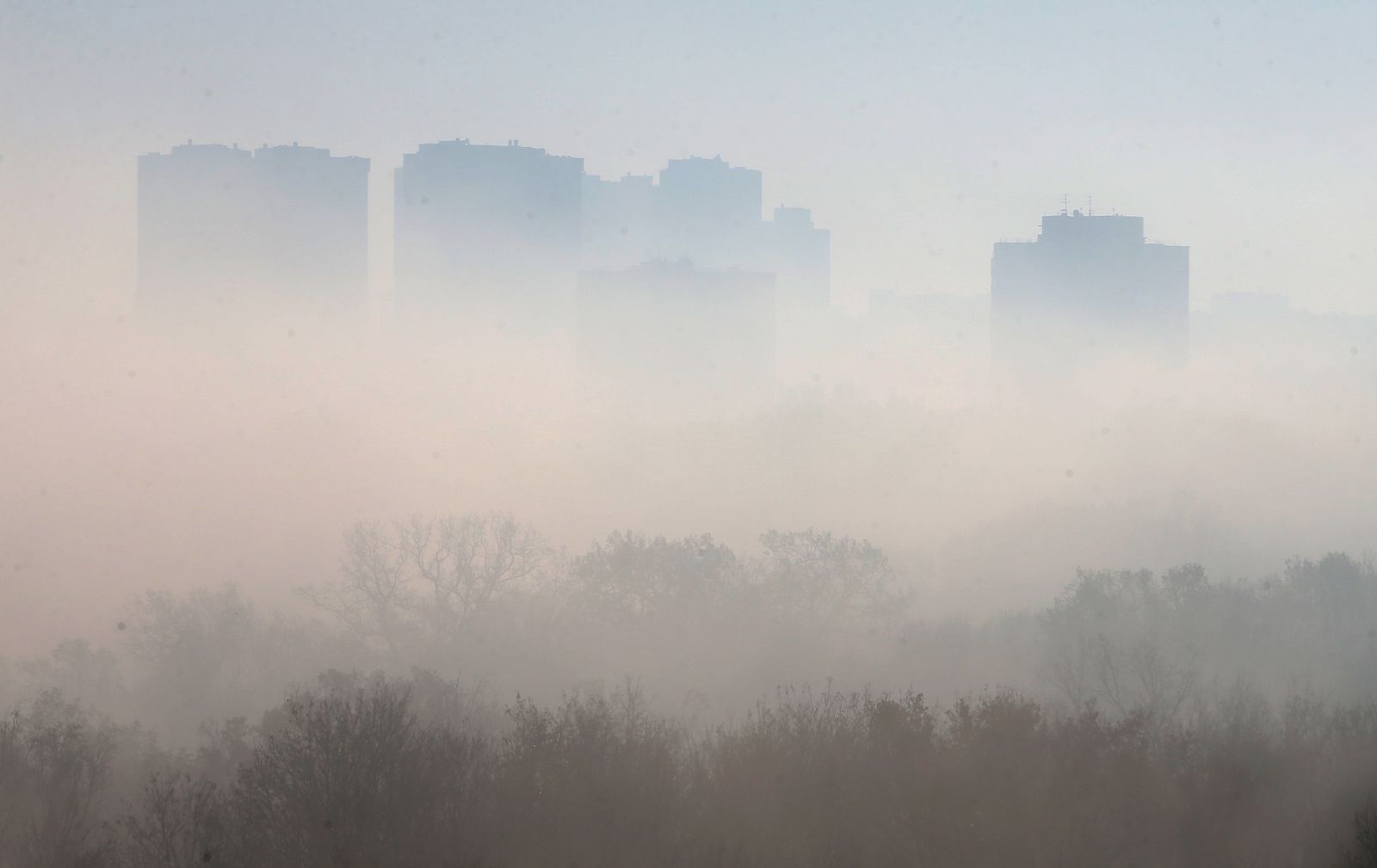 Харьков накрыл туман