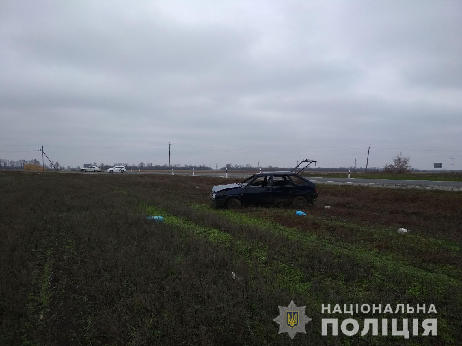 Авария под Лозовой: четверо пострадавших, машина вылетела в поле (фото)