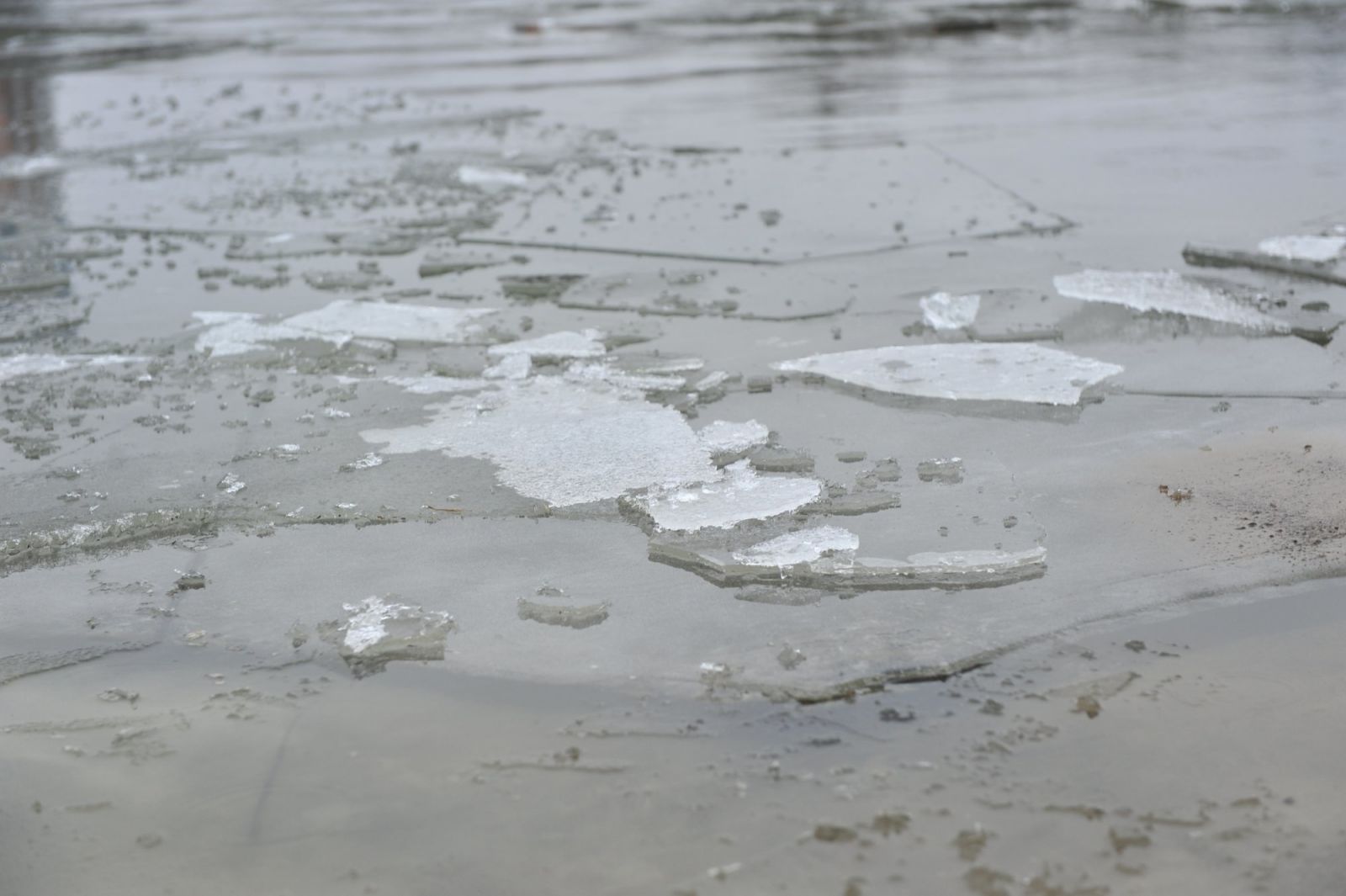 На Салтовке дети гуляют по тонкому льду (видео)