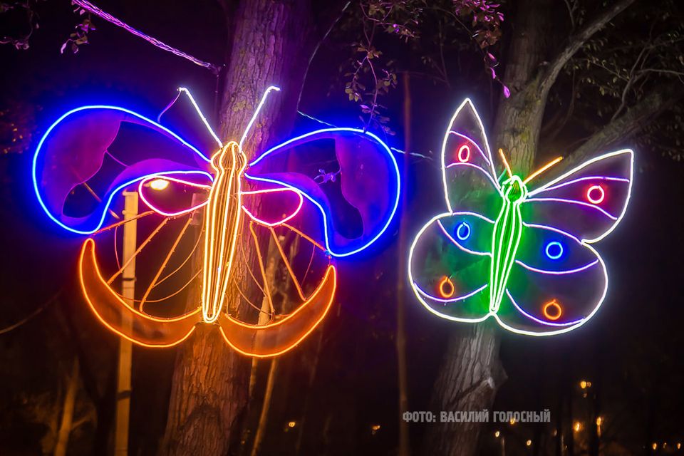 На ХТЗ появились светящиеся насекомые (фото)