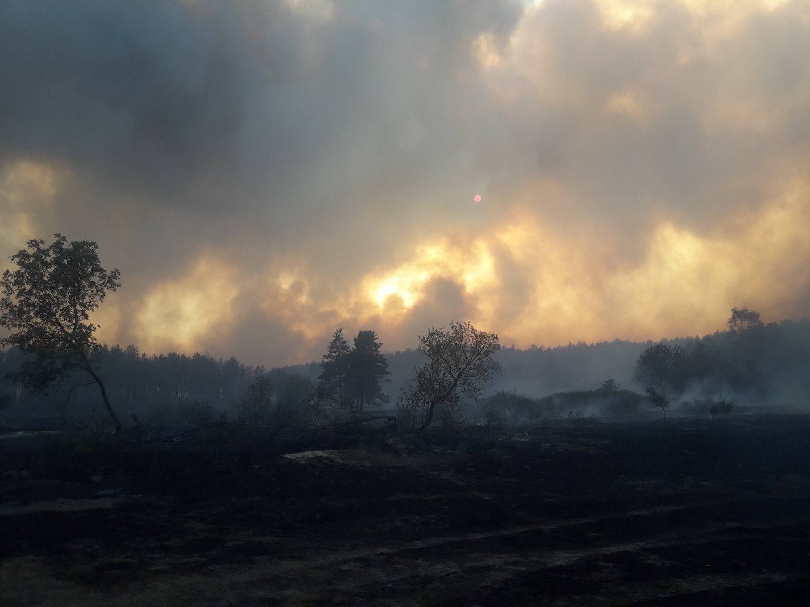 Лесные пожары в Двуречанском районе: погорелец умер, не дождавшись компенсации