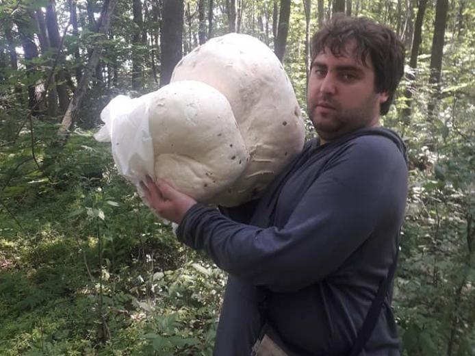 В Коротиче нашли гриб размером с подушку