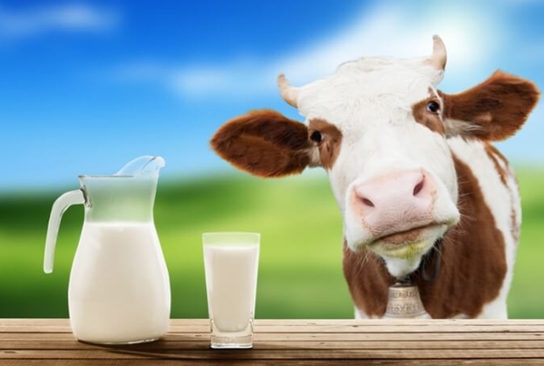 Харьковская область вырвалась в лидеры по производству молока