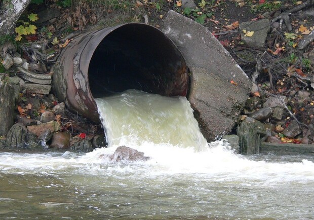 Колония под Харьковом продолжает сбрасывать отходы в реку