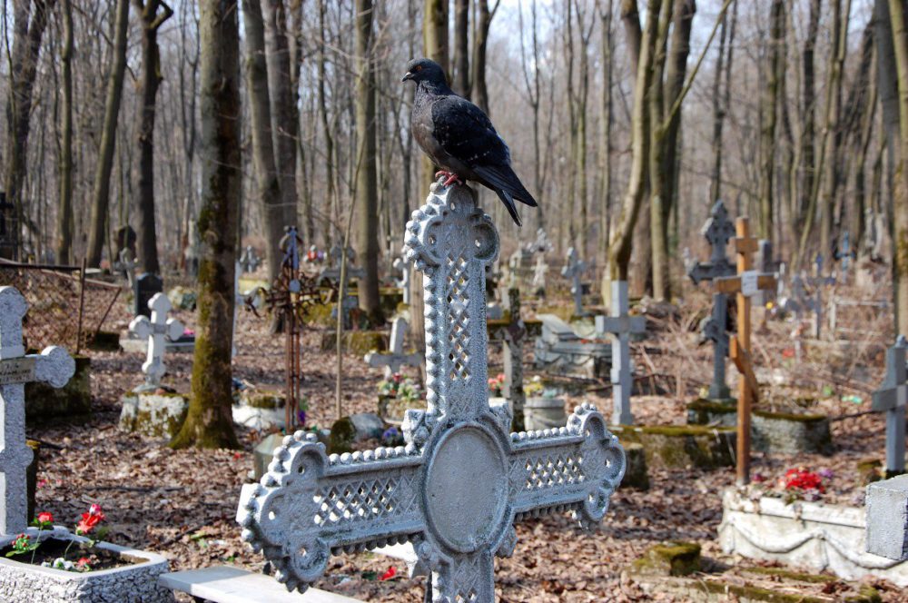 В Харькове расширят кладбище