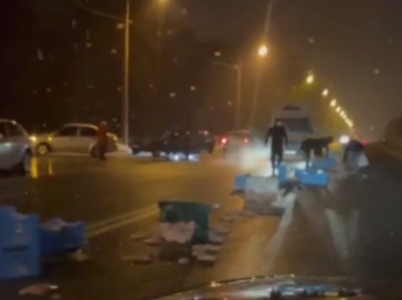 В Харькове дорогу усеяли замороженные куры (видео)