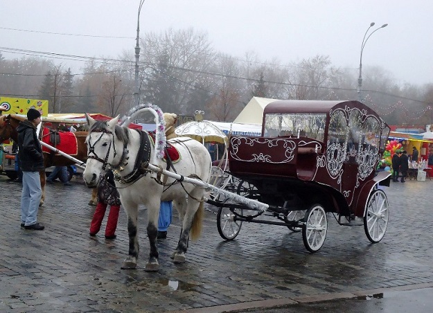 С площади Свободы в Харькове убрали лошадей