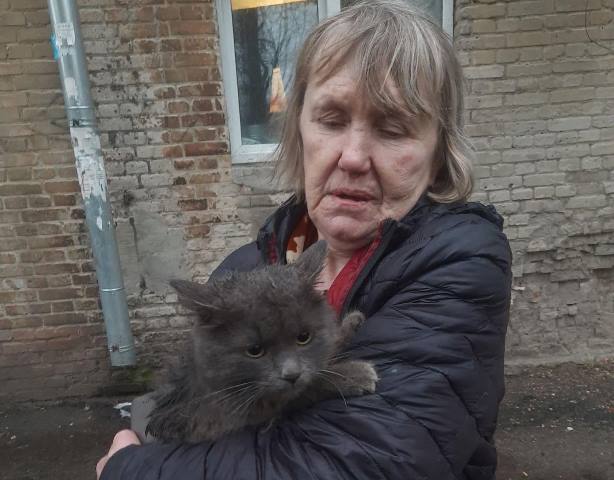В Харькове под обстрелами спасали кота, который залез на огромное дерево: фото
