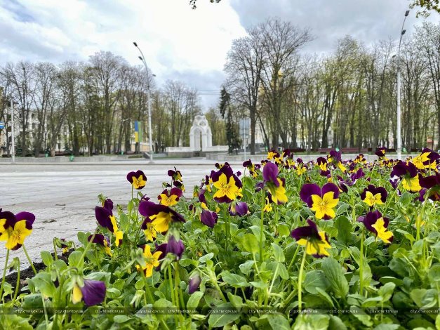 В Харькове начали высаживать цветы (фото)