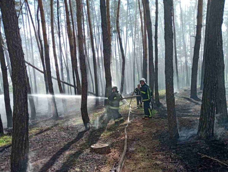 В Харьковской области после обстрелов сгорели дома и 10 га леса