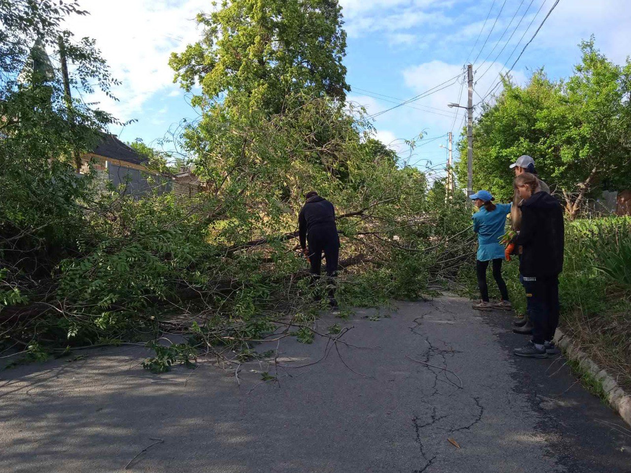 У Харкові через ураган впали дерева та гілки (фото)