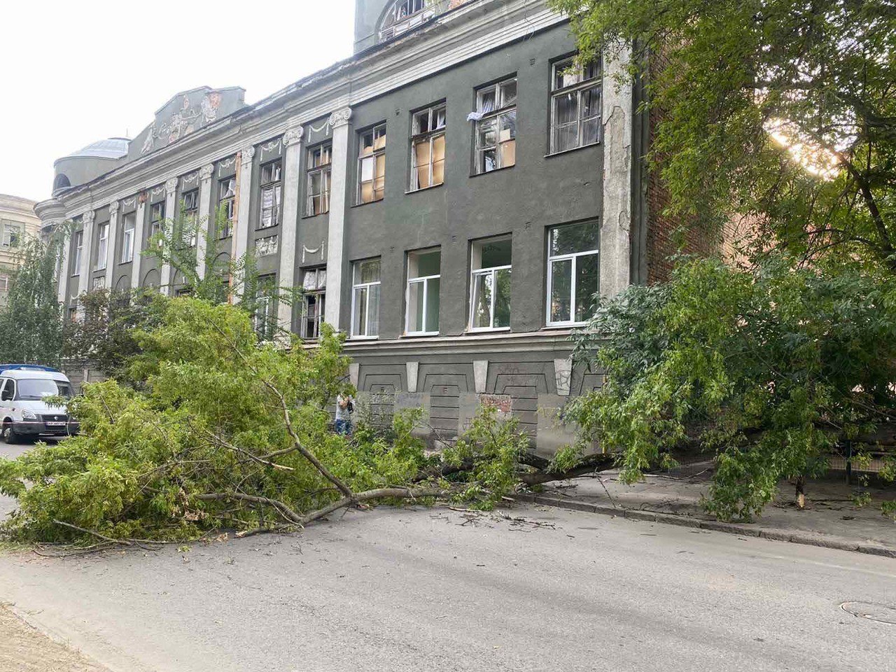 В Харькове стихия повалила деревья: фото