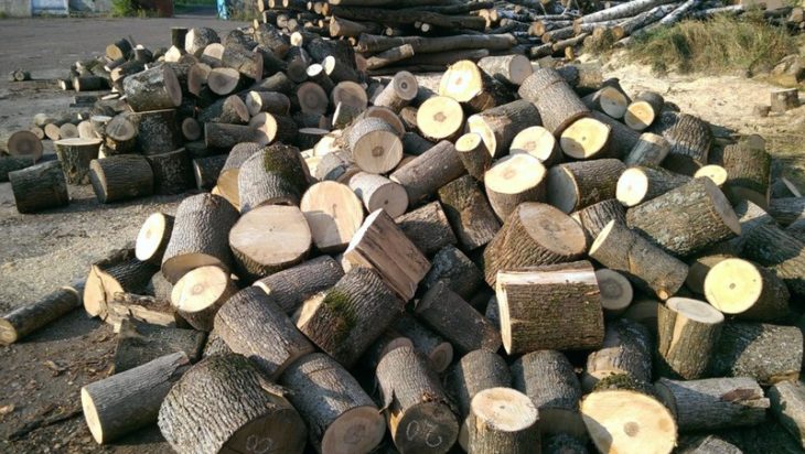 Как жителям Харьковской области получить бесплатные дрова