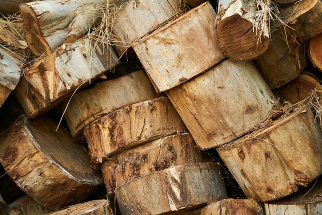 На Харківщині починають видавати безкоштовні дрова