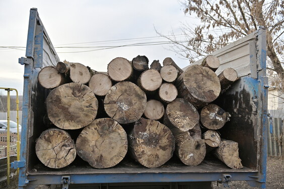 Жители Харьковской области могут получить бесплатные дрова от "Укрзалізниці"