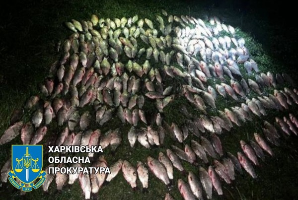 В Харьковской области мужчина наловил рыбы на полмиллиона