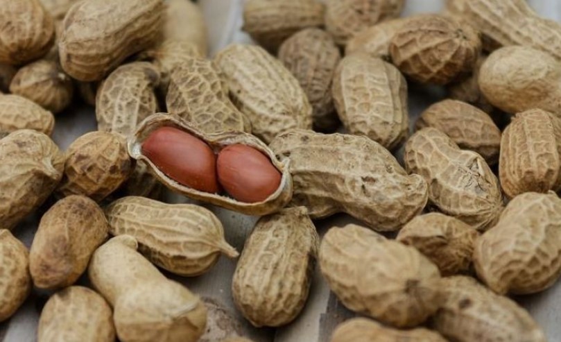 Харьковчан предупреждают об опасном арахисе
