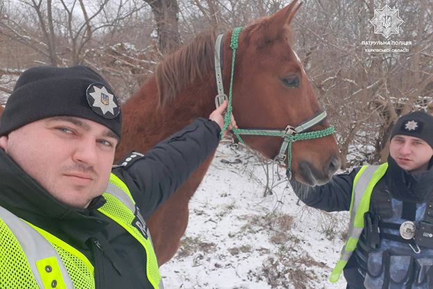 В Харькове по улицам города бегала лошадь